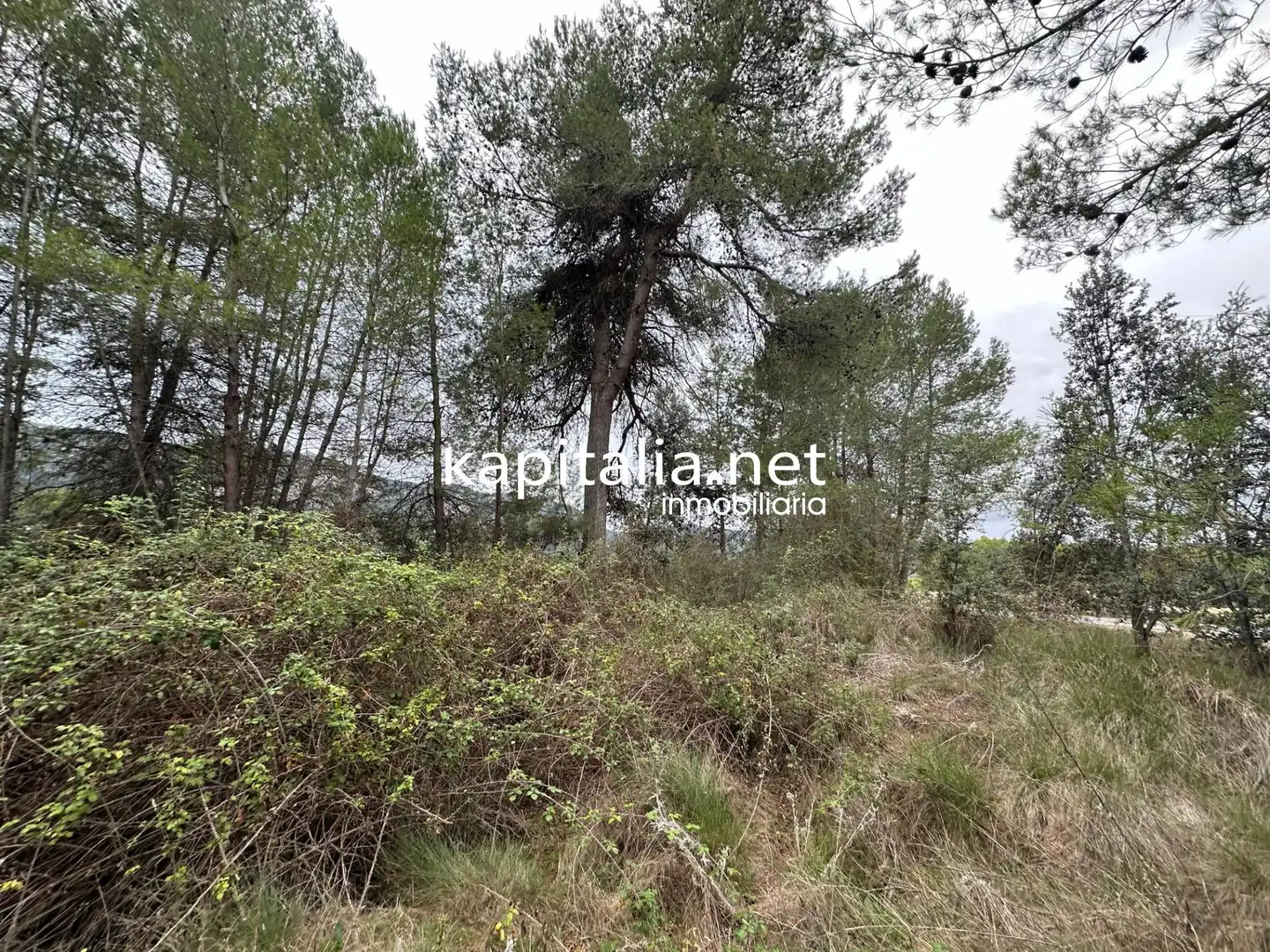 Terreno residencial en venta en Alfafara, imagen 3