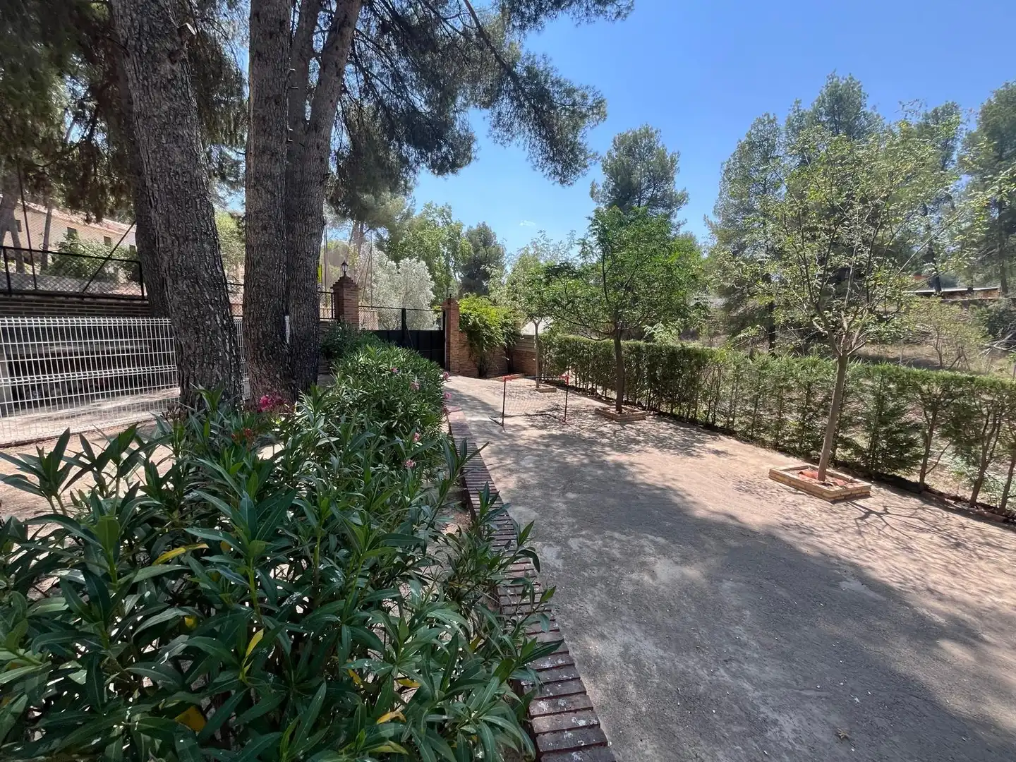 Jardí de Casa o xalet en venda en Almansa amb Aire condicionat, Calefacció i Jardí privat