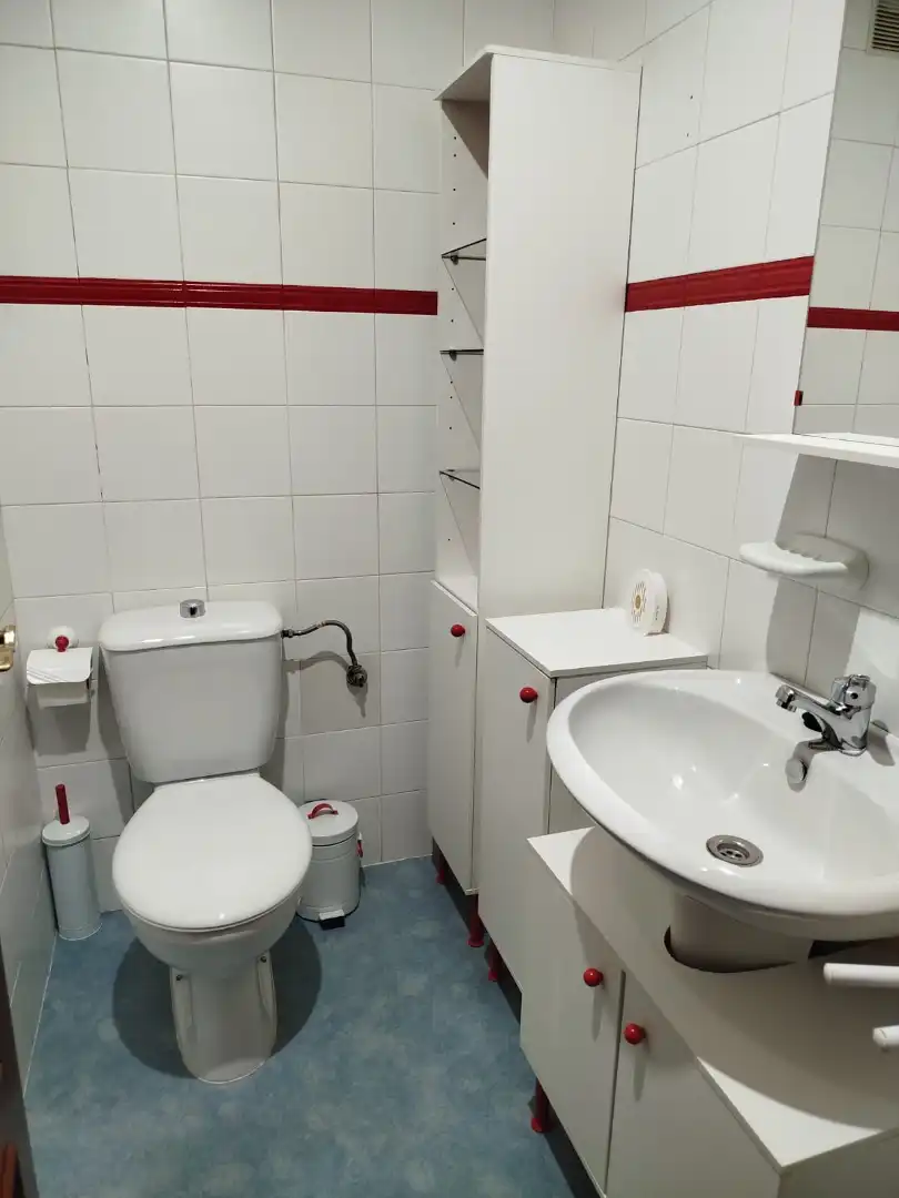 Bathroom of Flat for rent in Ciudad Real  with Heating, Terrace and Furnished