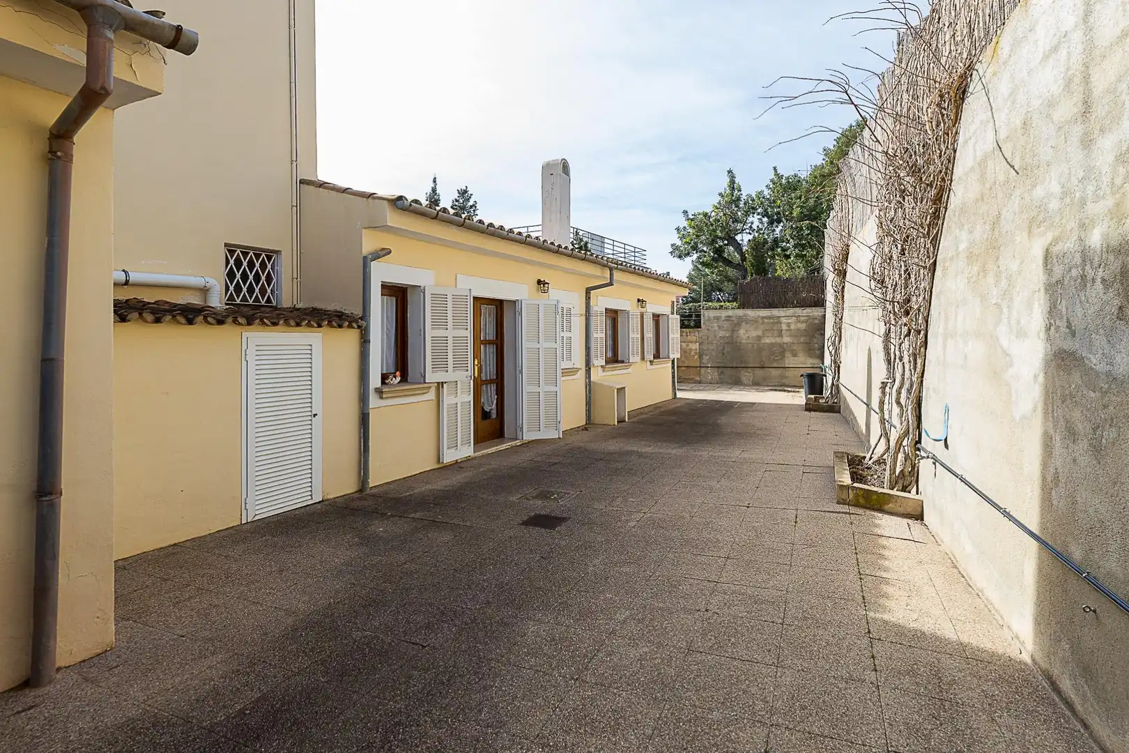 Vista exterior de Casa o chalet en venta en  Palma de Mallorca con Jardín privado, Terraza y Trastero