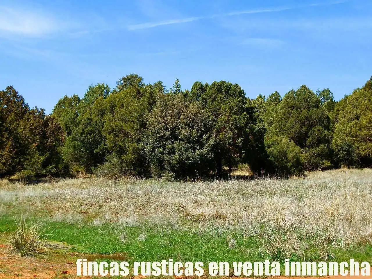 Lands and plots for sale in Ossa de Montiel, imagen 5