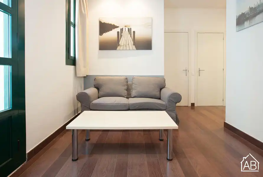 Wohnzimmer von Wohnungen zum Verkauf in Barcelona mit Möbliert und Balkon