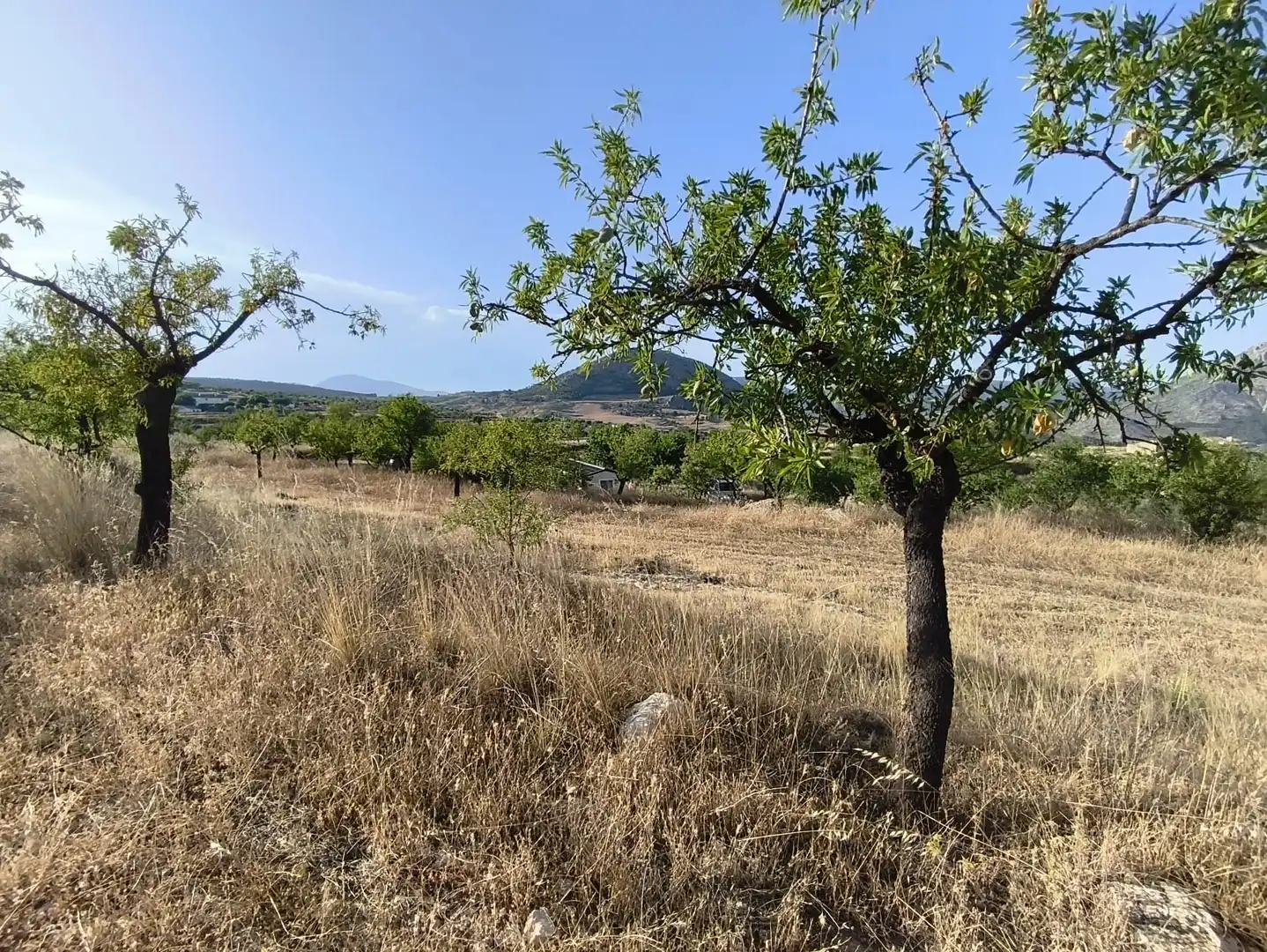Terreni e lotti in vendita a Vélez-Blanco, imagen 17