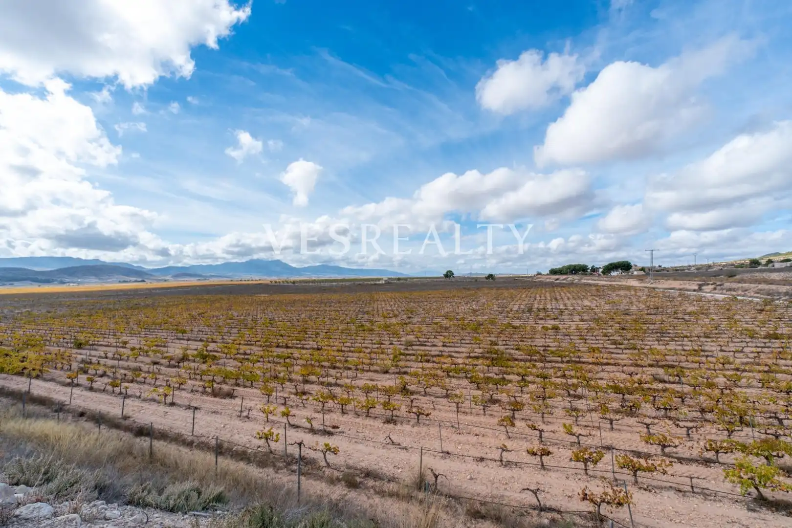 Landhaus zum Verkauf in Carretera Carretera de Jumilla, km 13, imagen 31