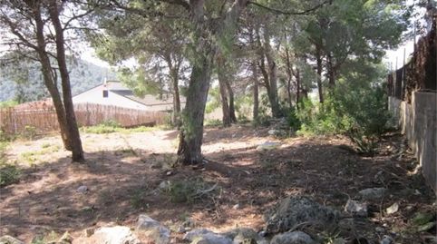 Foto 5 de Terreny en venda a Carrer L'arboç, Calafell Park, Calafell