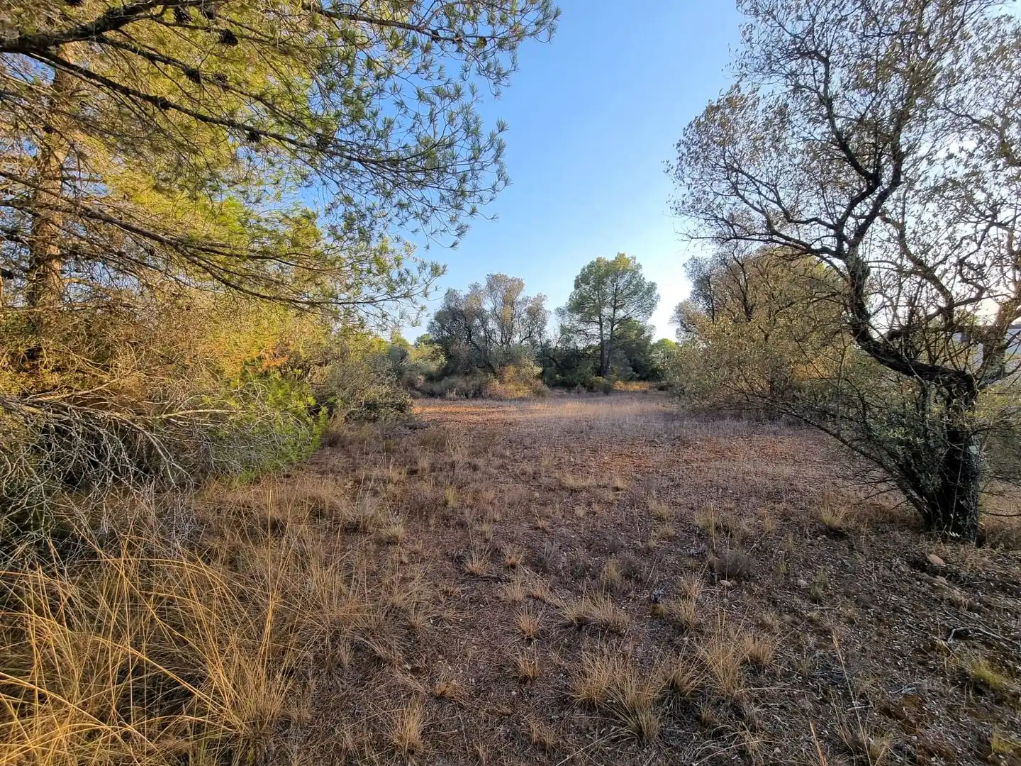 Residencial en venta en Tivissa