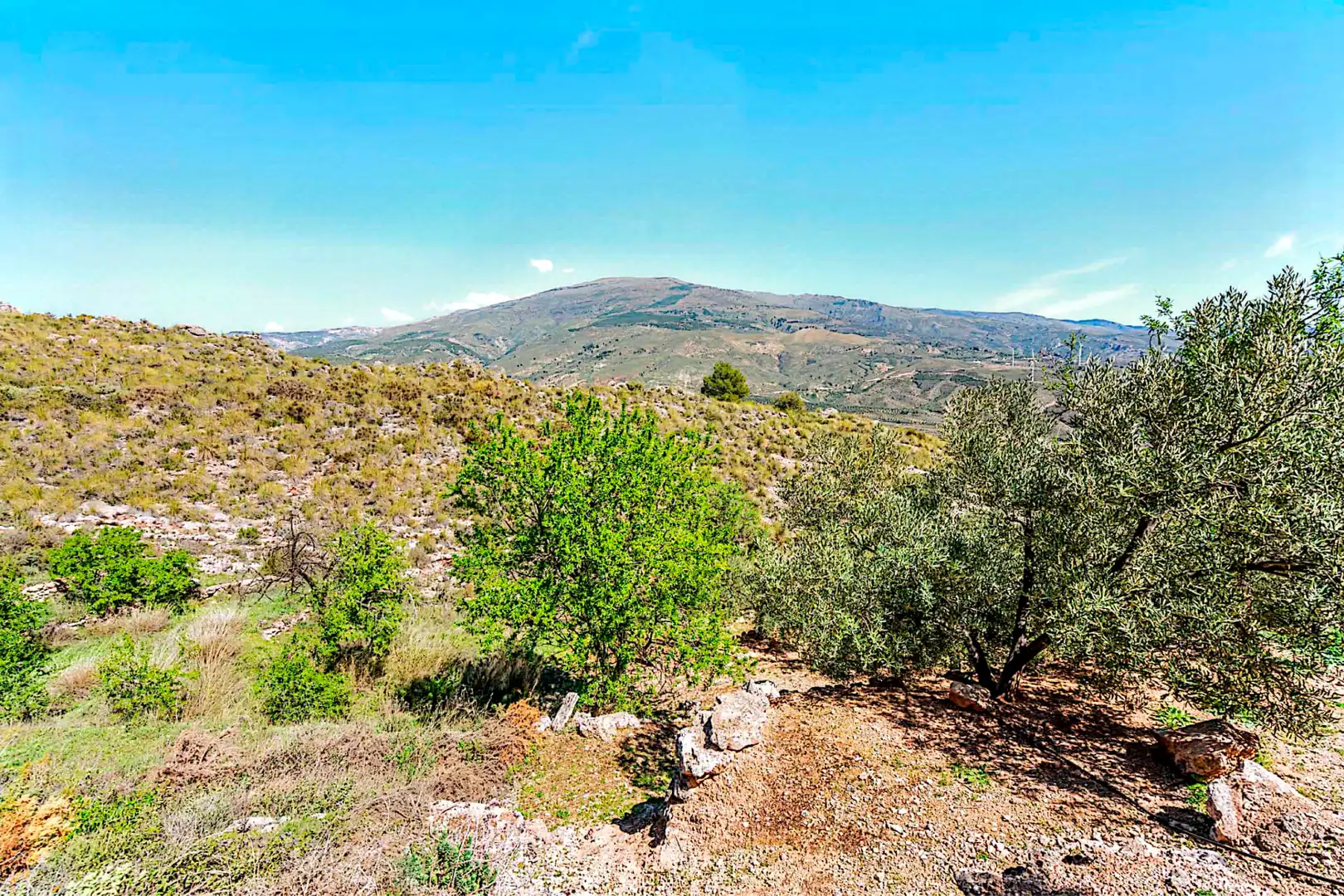 Terrain rustique à vendre à El Pinar, imagen 13