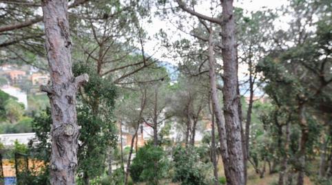 Foto 4 de Terreny industrial en venda a Poblat Iberic, 7, Roca Grossa, Girona