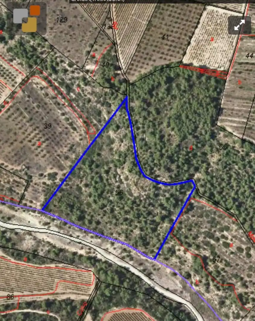 Terreno rustico in vendita a Garcia, imagen 7