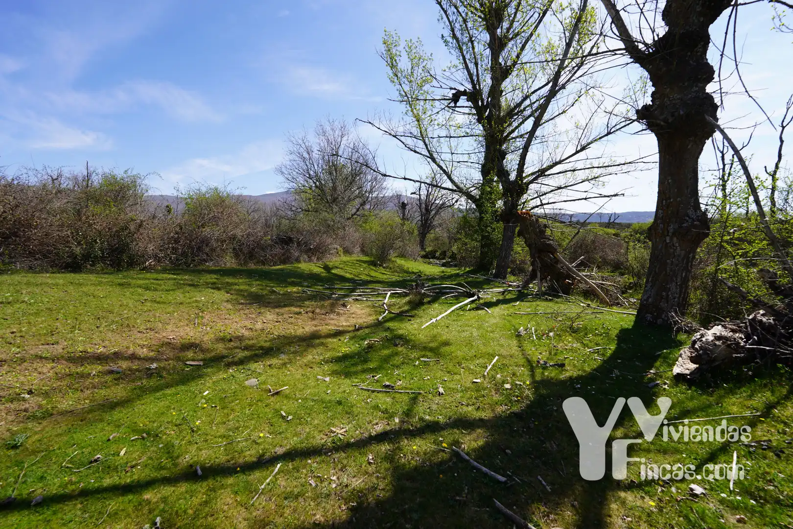 Terreno rústico en venta en Campillo de Ranas, imagen 11