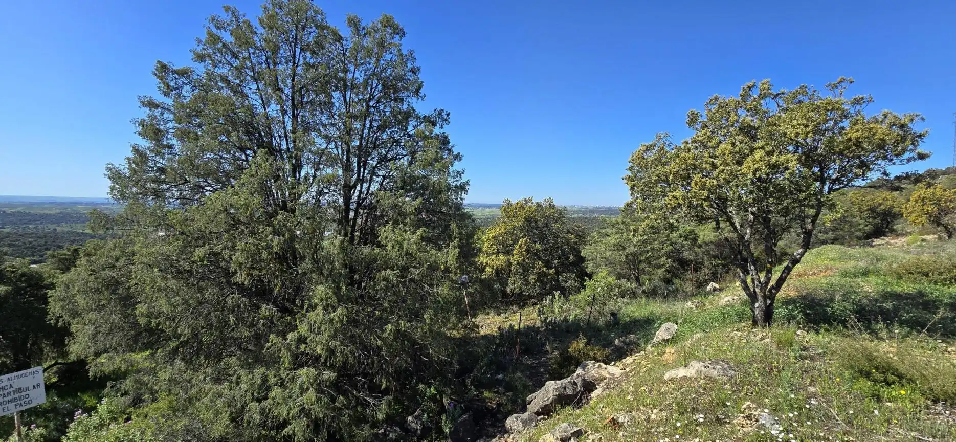 Terrenys i solars en venda a San Agustín del Guadalix pueblo, imagen 21