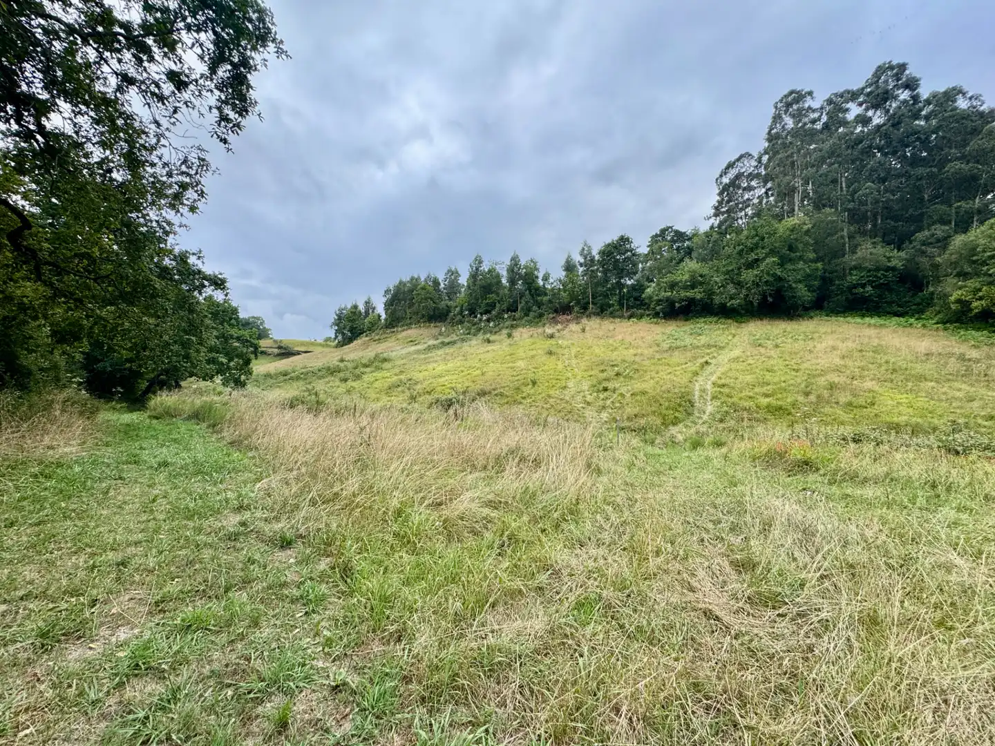 Terreno en venta en Villaviciosa
