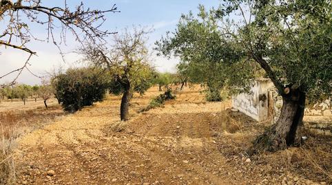 Foto 4 von Country house zum Verkauf in Biar, Alicante