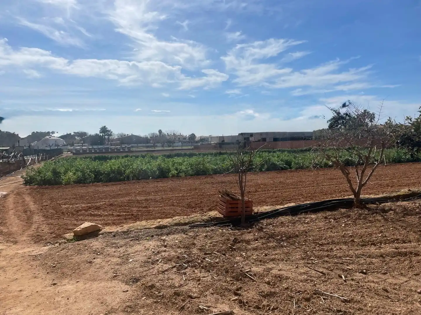 Residential land for sale in Marítima Sud, imagen 10