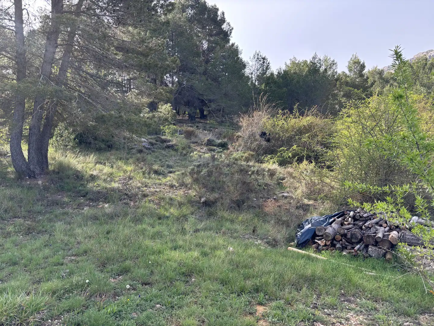 Finca rústica en venta en Confrides con Jardín privado