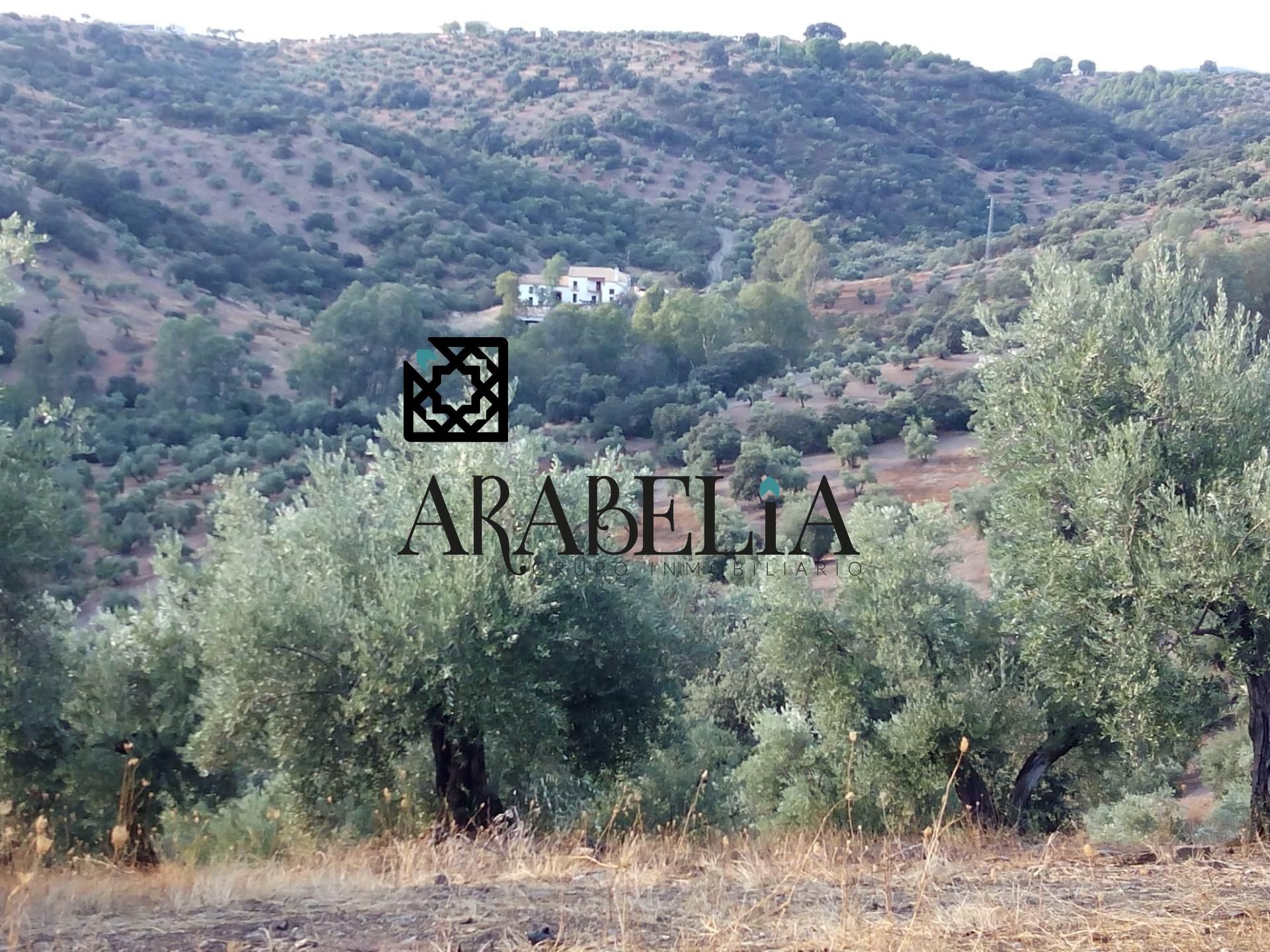 Finca rústica en venda en Montoro