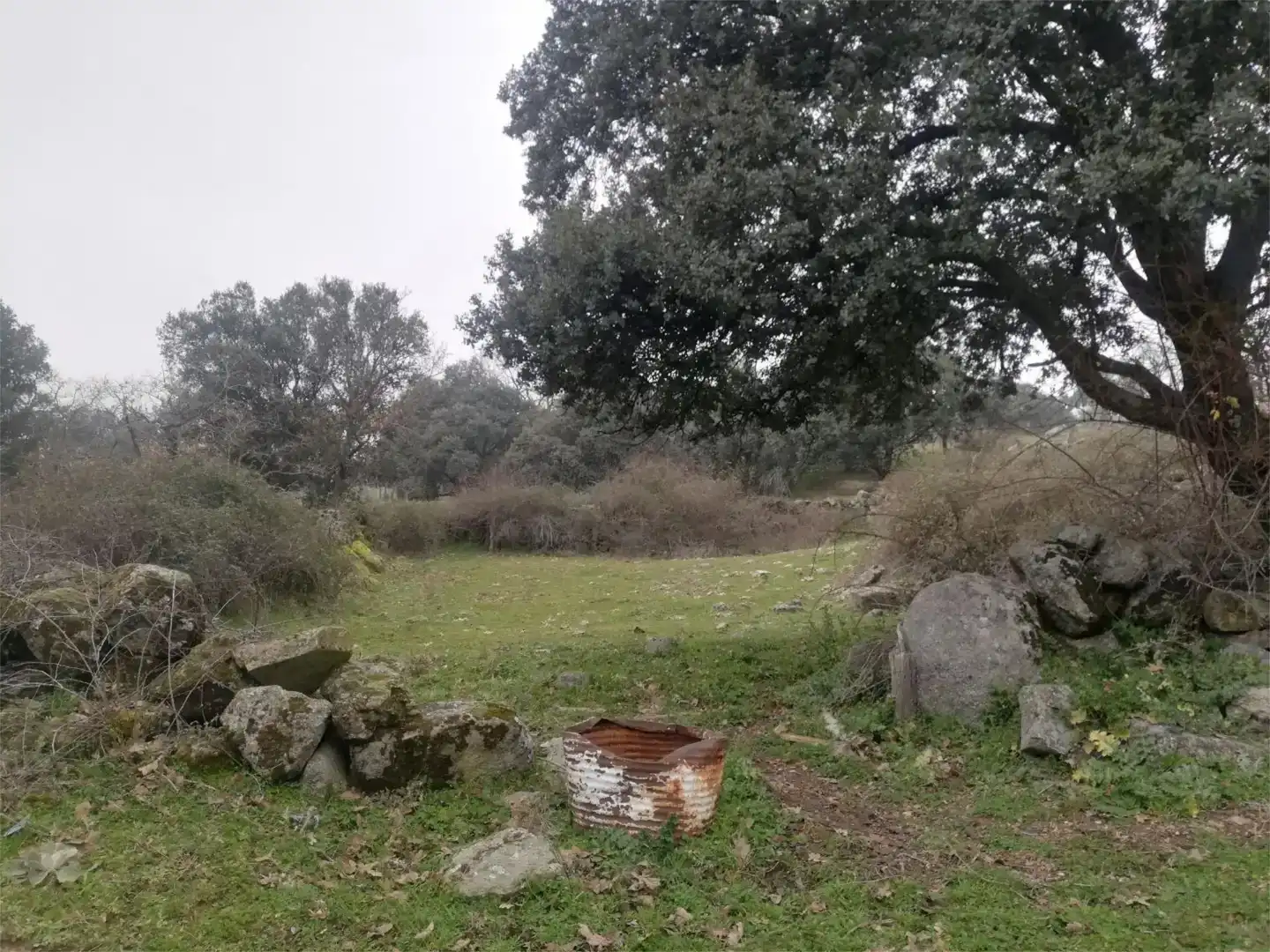 Terreno en venta en Bustarviejo