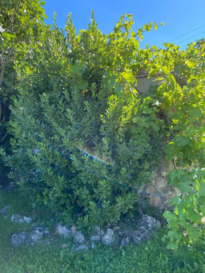 Jardín de Terreno en venta en Escopete