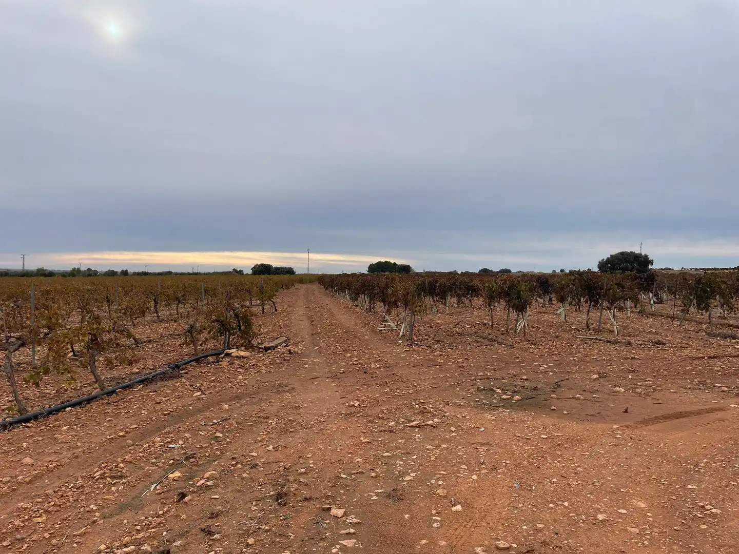 Terreno rustico in vendita a TO-2999 5, imagen 8