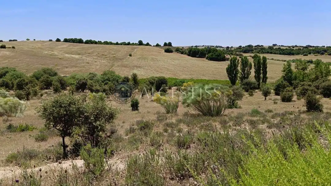 Terreno en venta en La Torre de Esteban Hambrán