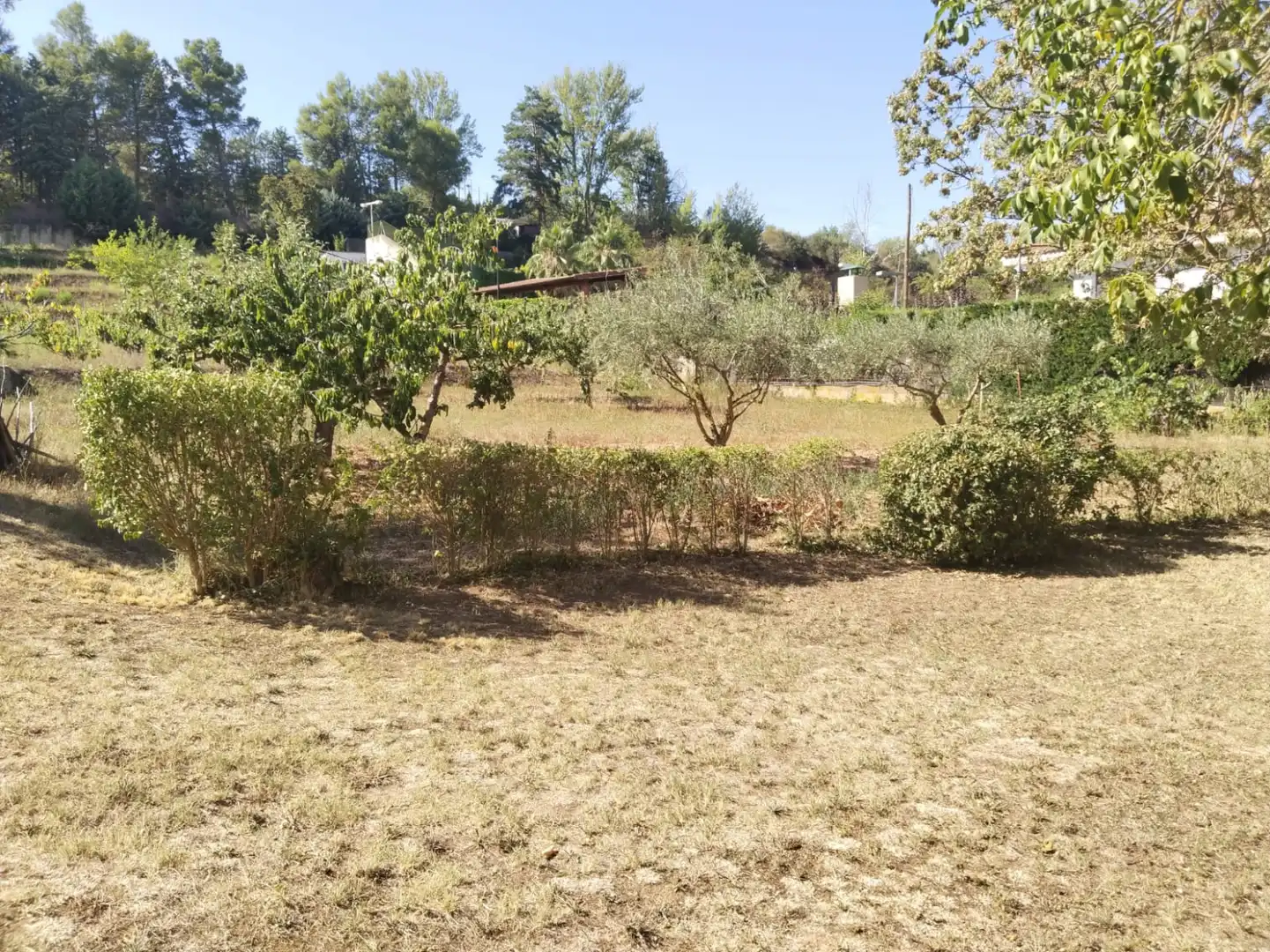 Houses for sale in Nalda