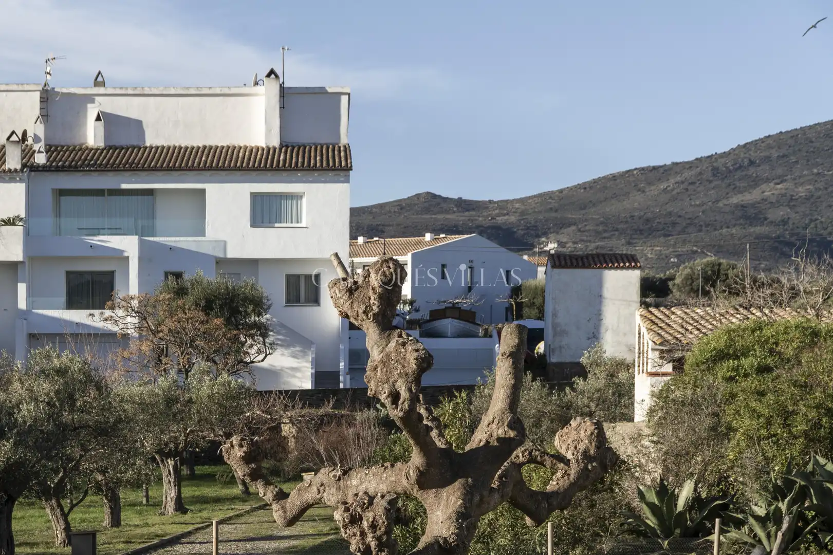 Vista exterior de Casa o chalet en venta en Cadaqués con Aire acondicionado, Calefacción y Amueblado