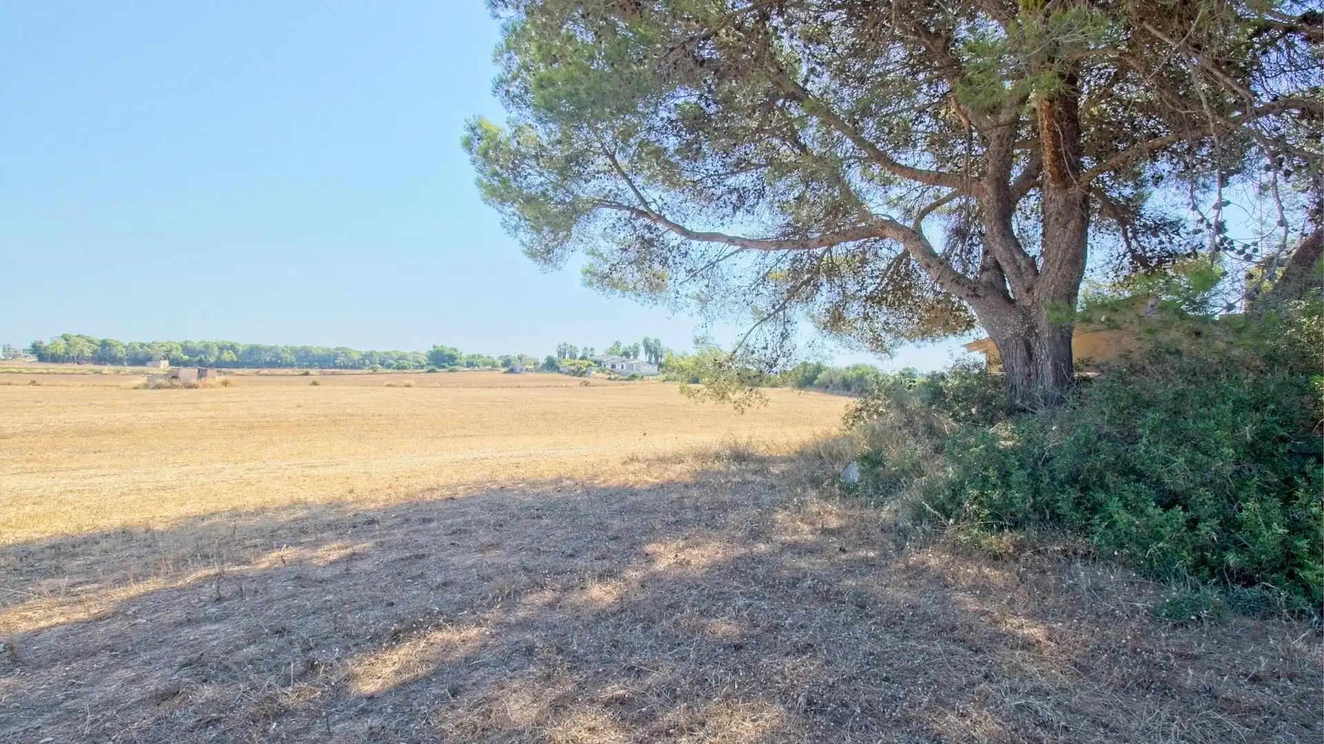 Maison rustique avec jardin à vendre à Muro, imagen 7
