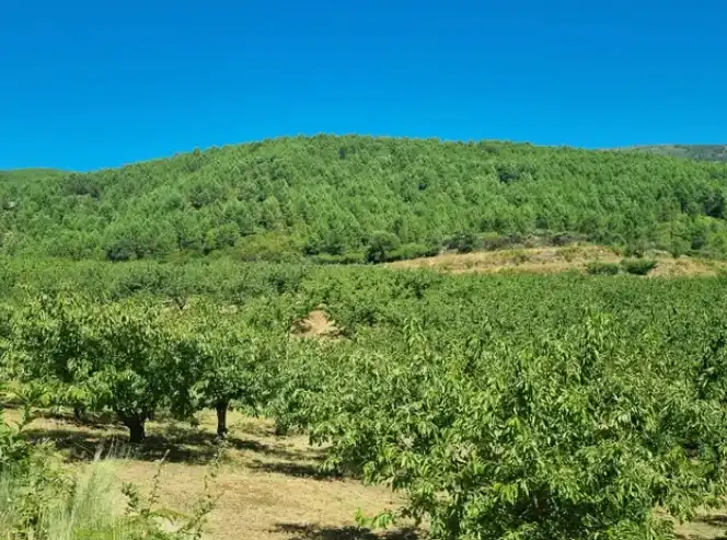 Terreni e lotti in vendita a Mombeltrán, imagen 9