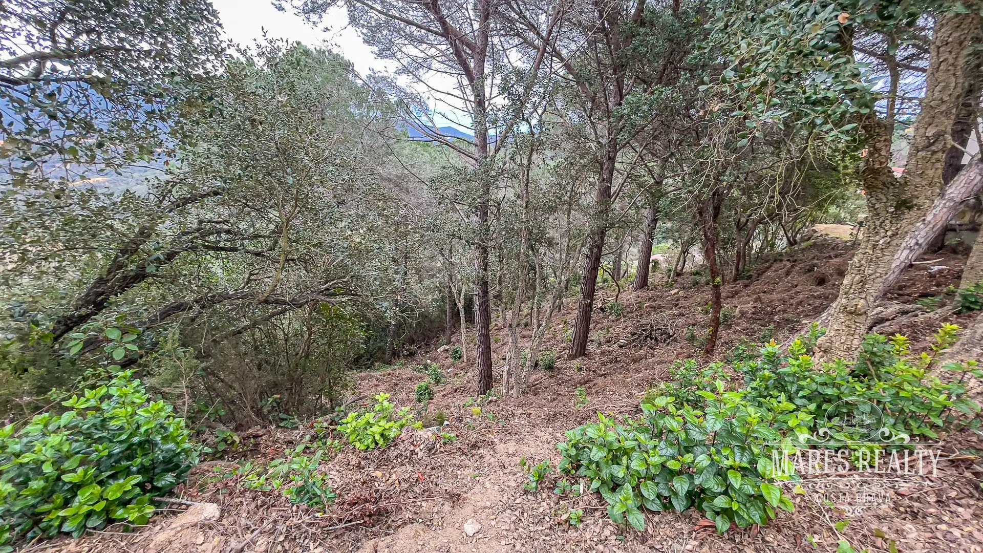 Terrenos y solares en venta en Serra Brava, imagen 7