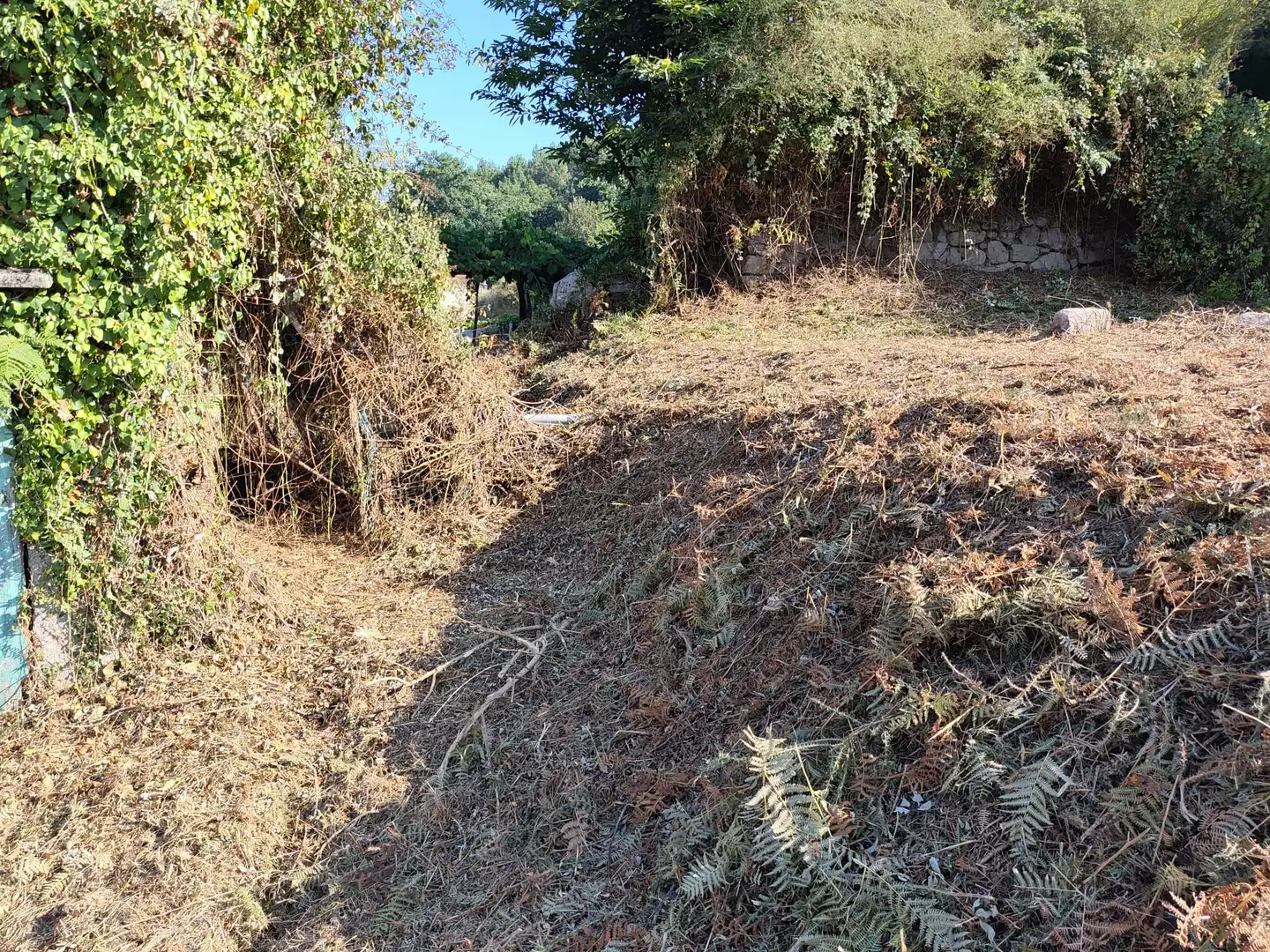 Terreny residencial en venda a Lugar PAREDES 19 Polígono 139 Parcela 8, imagen 9
