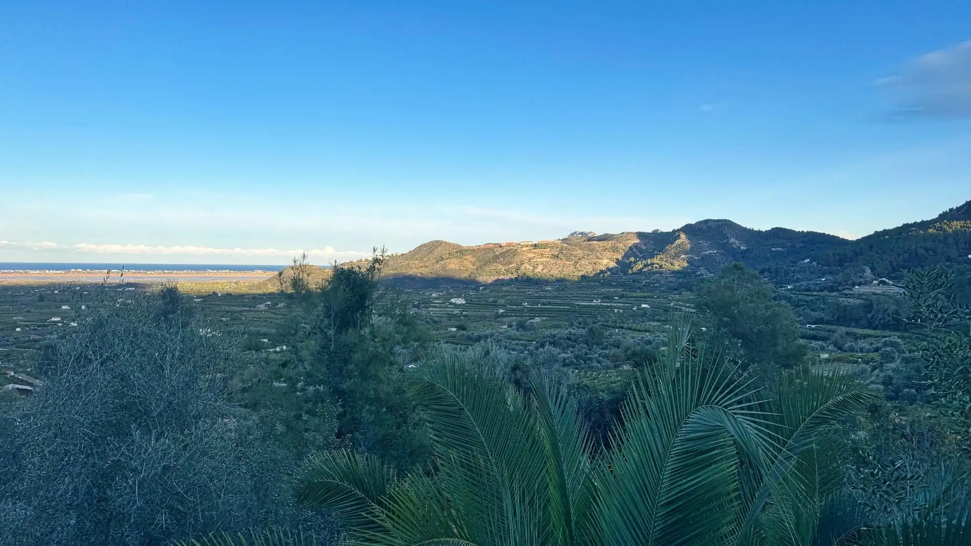 Rural land for sale in Pego, imagen 9