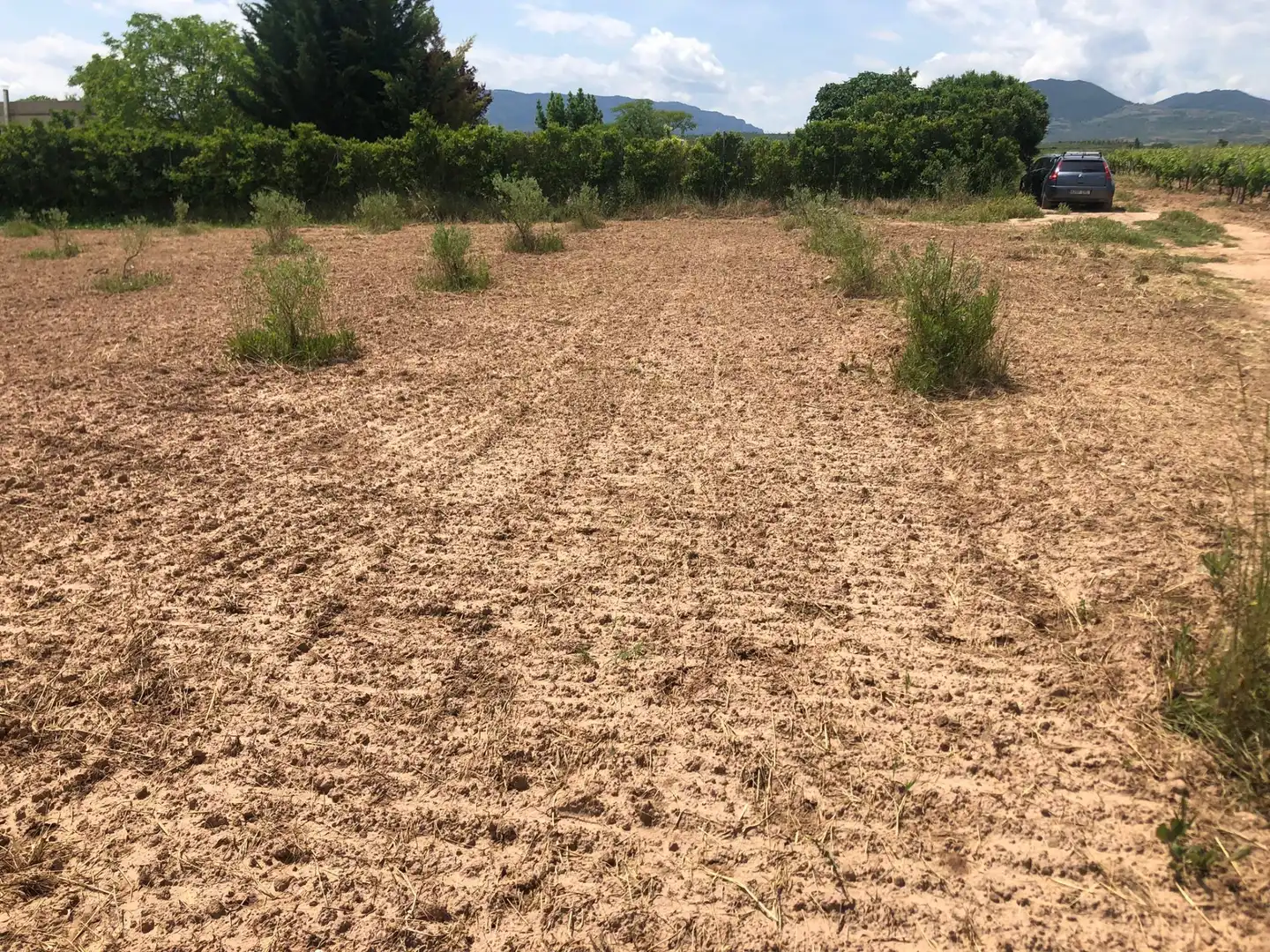 Terreny rústic en venda a Murillo de Río Leza, imagen 10