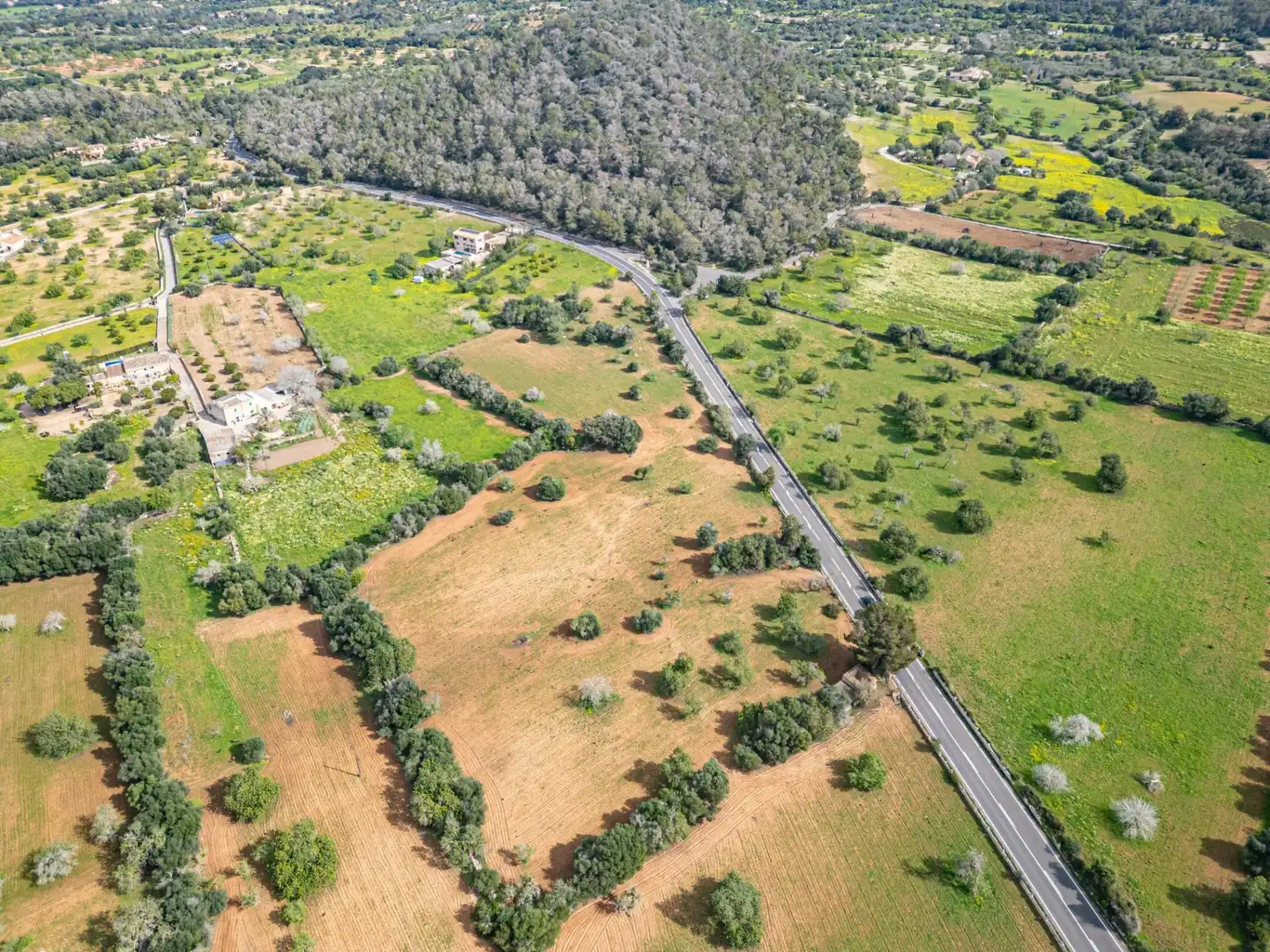 Rural land for sale in Felanitx Poble, imagen 24