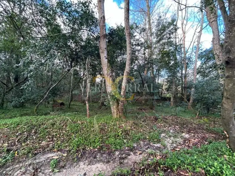Terreny residencial en venda a San Roque del Acebal, imagen 11