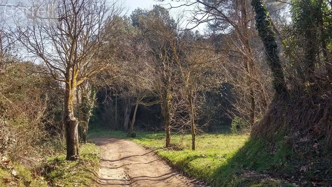 Lands and plots for sale in DS CAN BOSC Polígono  Parcela 
CAN BOSCH.  LLIÇA D'AMUNT (BARCELONA), imagen 9