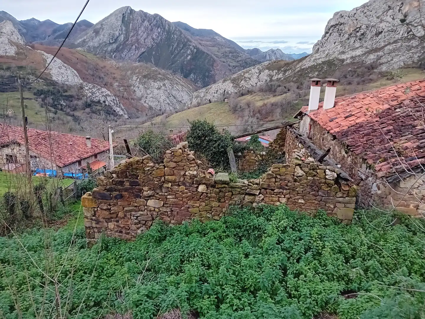 Vista exterior de Finca rústica en venta en Amieva