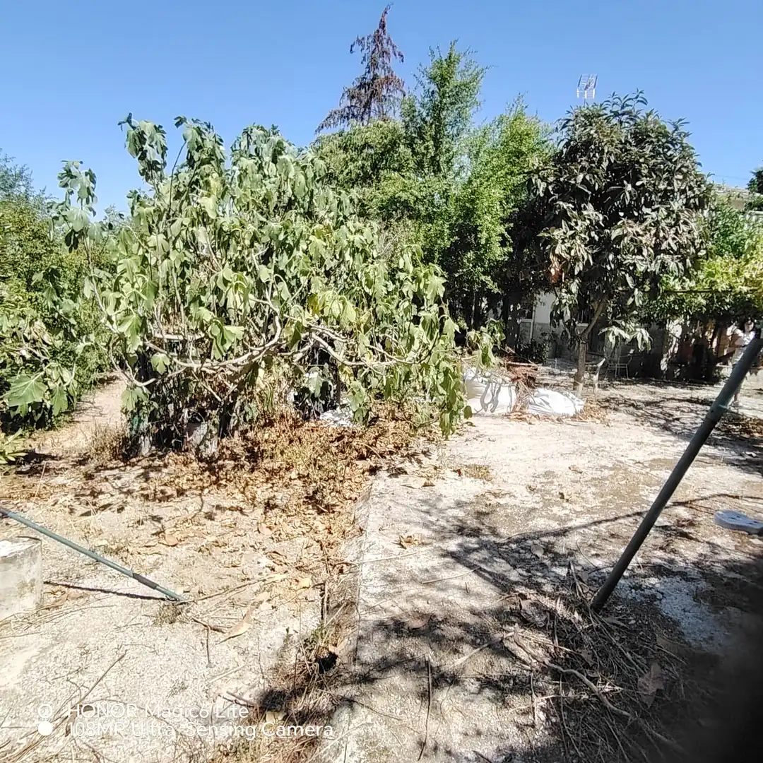 Casa amb jardí en venda a Carrer de les Garrigues, imagen 19