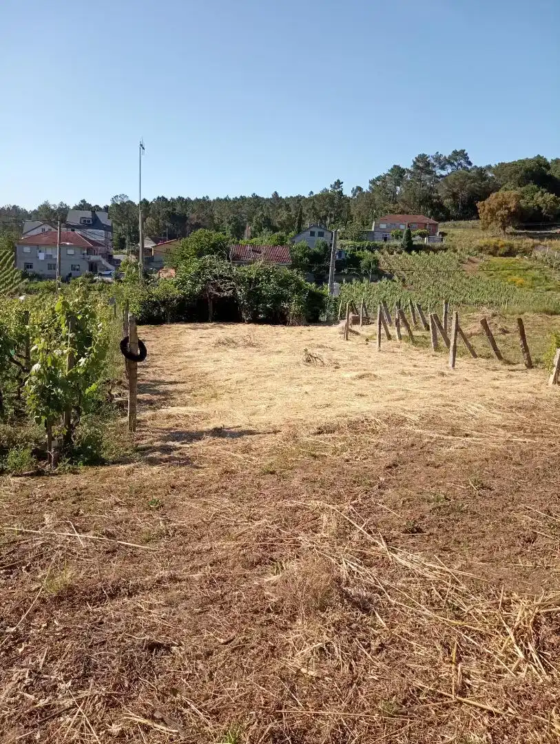 Casa o xalet en venda en Castrelo de Miño amb Balcó