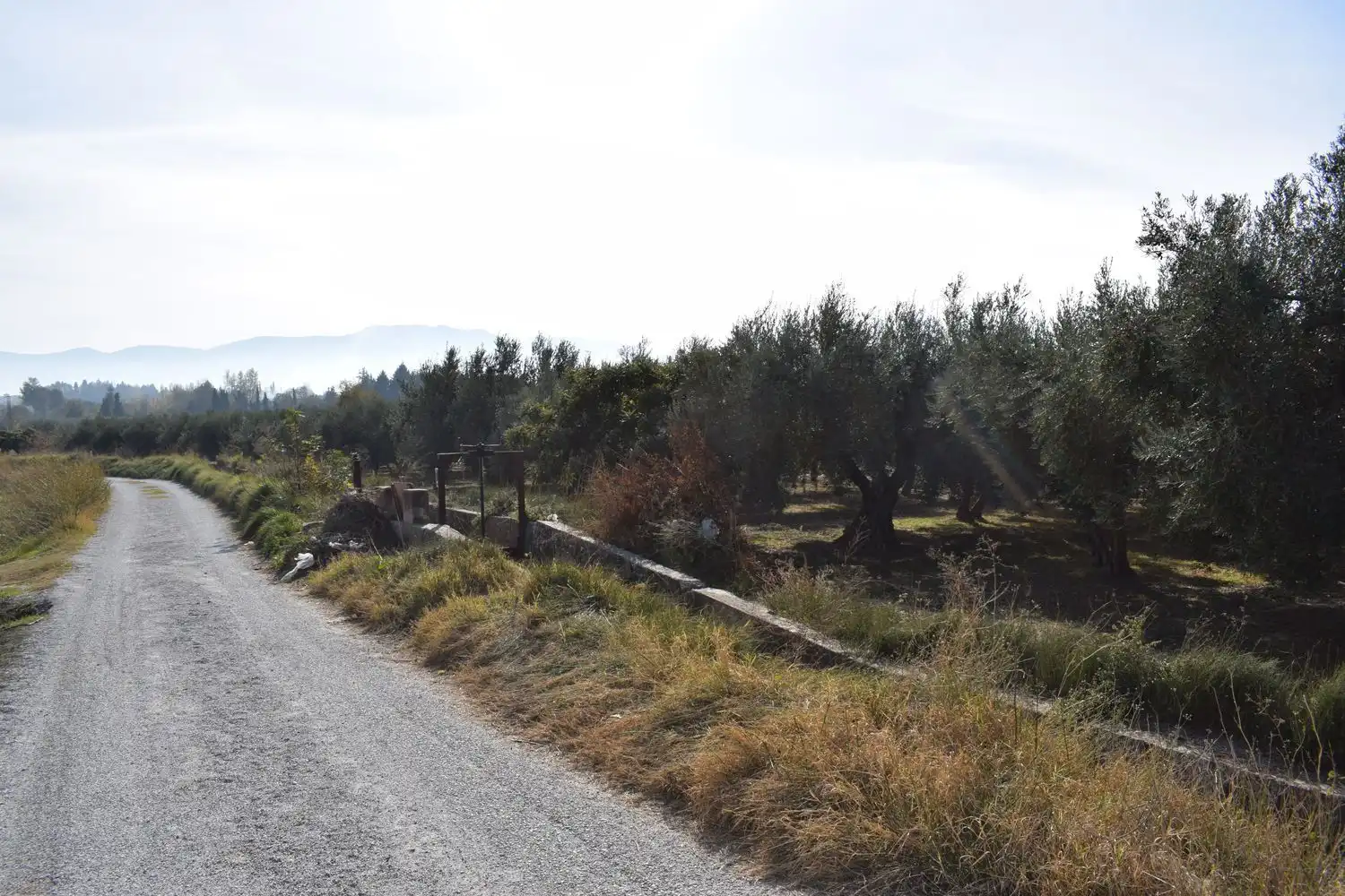 Terreno rustico in vendita a LOS MOLINOS, imagen 13