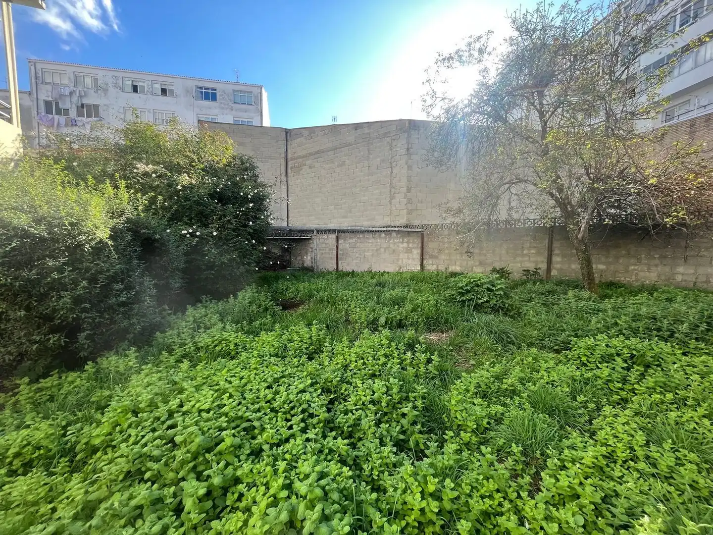 Rural land for sale in Calle Río Porto 35, imagen 5