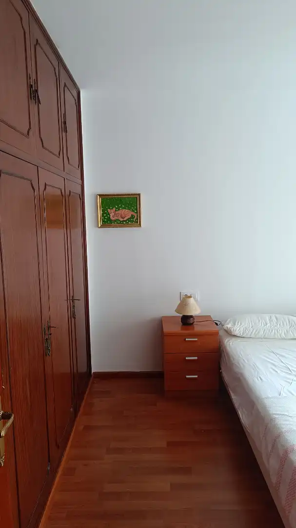 Bedroom of Flat for rent in A Coruña Capital   with Parquet flooring, Furnished and Oven