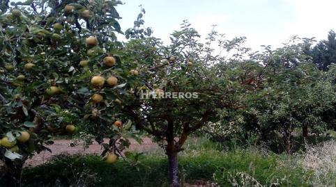 Foto 5 de Casa o xalet en venda a Medrano, La Rioja