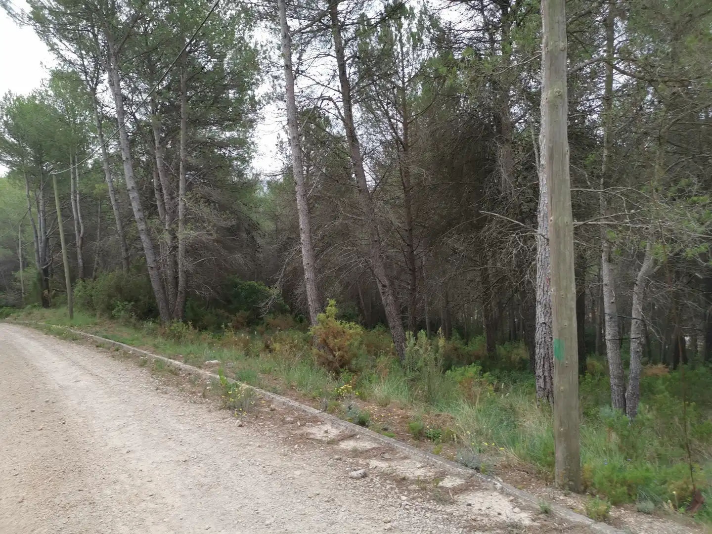 Residencial en venta en Avinguda Gaudí, 14, El Montmell