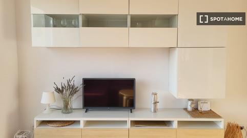 Photo 5 of Study to share in Mogro, Cantabria