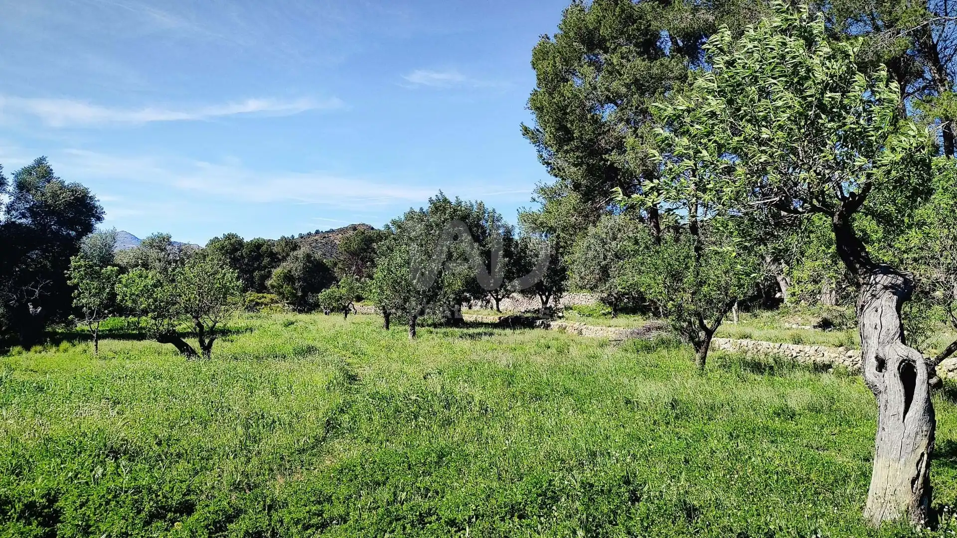 Residential for sale in Murla