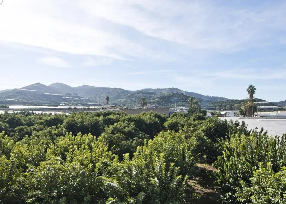 Vista exterior de Residencial en venda en Motril
