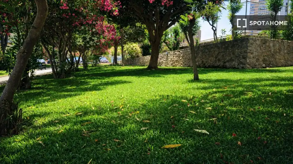 Zimmer in Playa de San Juan