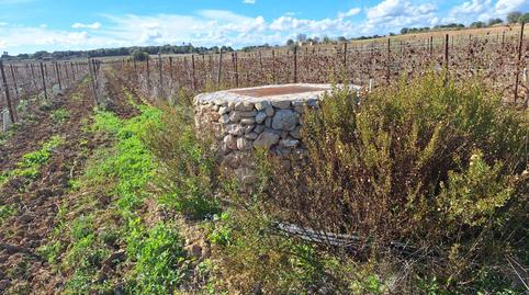 Foto 3 de Residencial en venta en Santa Margalida Poble, Illes Balears