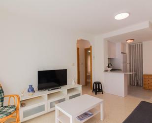 Sala d'estar de Apartament de lloguer en Guardamar del Segura