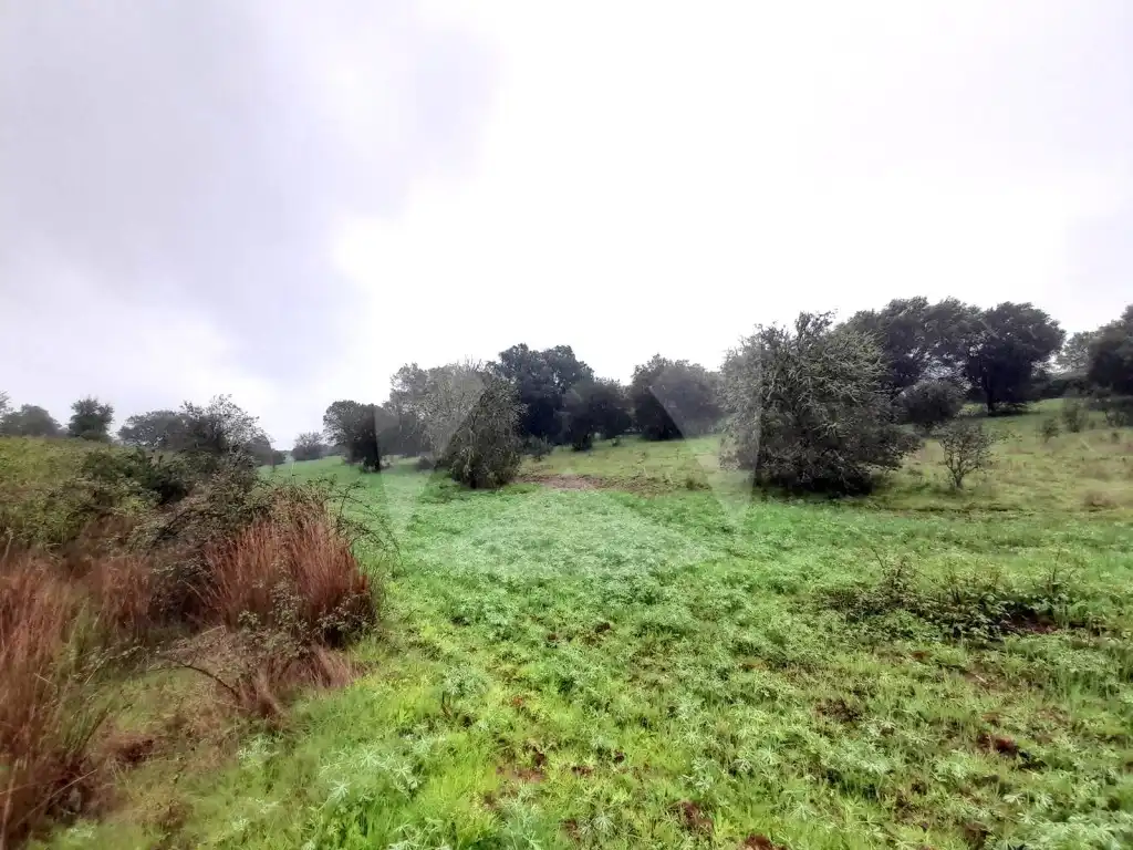 Maison à vendre à Diseminados Rosquillero, imagen 16